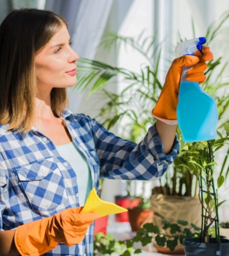 young-woman-holding-yellow-napkin-spraying-window-glass